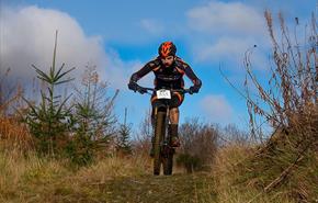Credyd Delwedd: Martin Pigott
